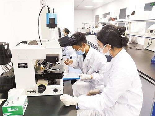 保定高新區(qū)技術(shù)創(chuàng)業(yè)服務(wù)中心累計培育高新技術(shù)企業(yè)225家，信息技術(shù)咨詢服務(wù)引領(lǐng)創(chuàng)新