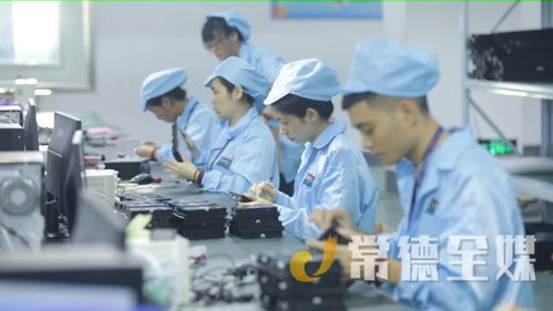 桃源培優(yōu)“兩主兩特”產(chǎn)業(yè)，以信息技術(shù)咨詢服務(wù)助力挺進全省十強縣